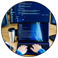 Custom Development