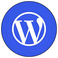 Website Solutions Agency in Chennai